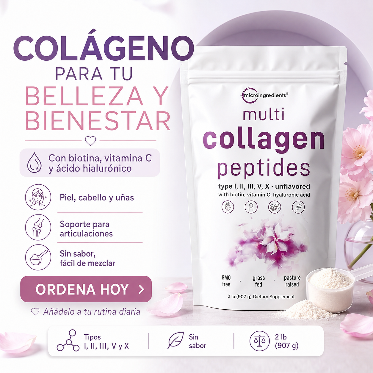 Multi Collagen Peptides — Belleza, fuerza y bienestar desde el interior