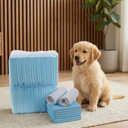 100 Pañales Absorbentes para Mascotas 45x33cm - Pack Entrenamiento