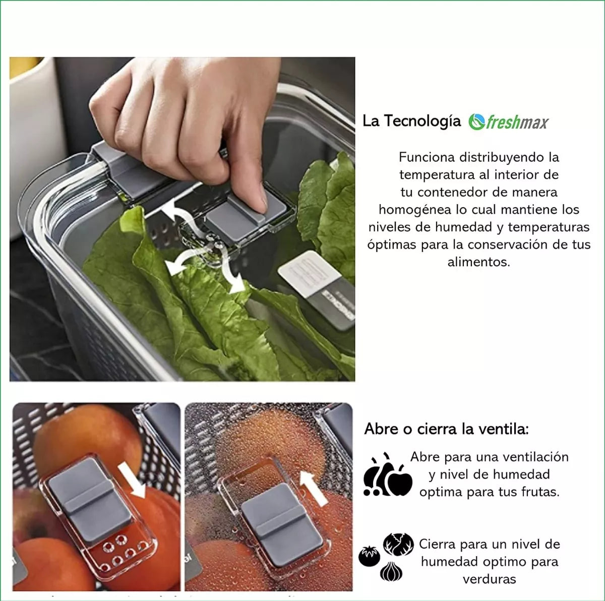 Set De 3 Contenedor Organizador