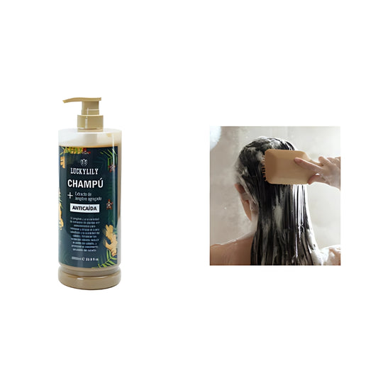 Shampoo Anticaída Con Extracto Jengibre
