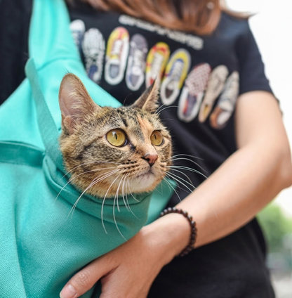 Bolsa de Transporte Portátil para Gatos – Segura, Cómoda y Práctica