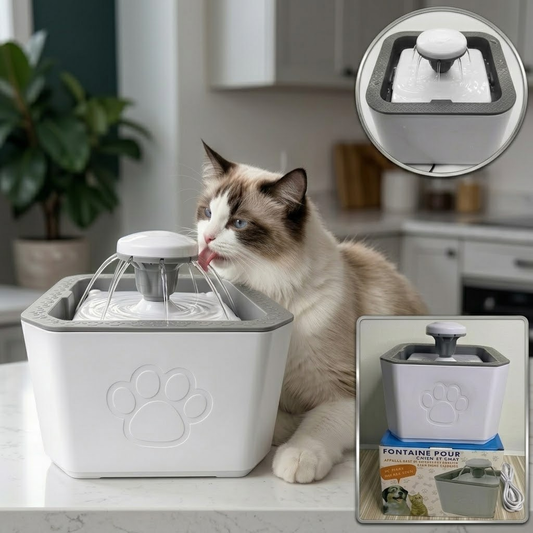 Fuente de Agua Eléctrica para Mascotas 2,5L – Hidratación Constante y Saludable