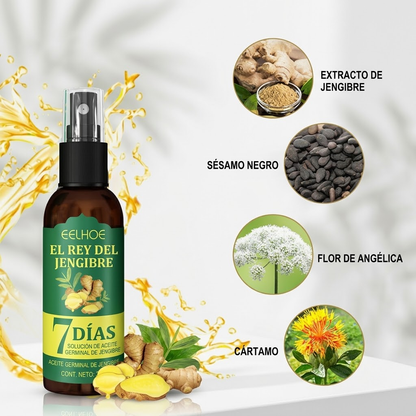 Vedora King of Ginger Hair Oil – Aceite de Jengibre para Crecimiento Natural del Cabello | 30 ml